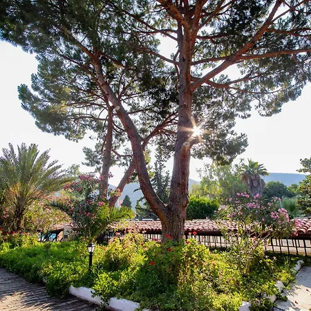 Hotel Pıgale Kusadası