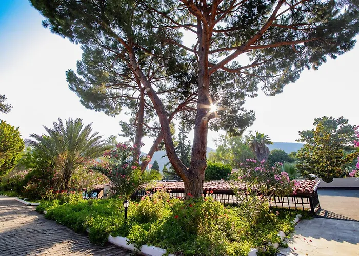 Hotel Pigale Kusadasi